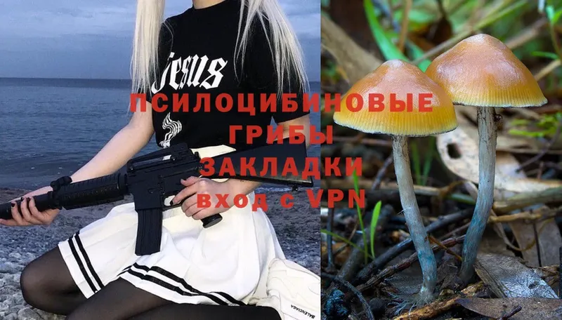 Галлюциногенные грибы Magic Shrooms  Лагань 